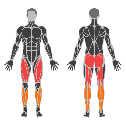 Glute Strength affected muscles
