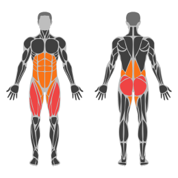 Lowbar Squat affected muscles