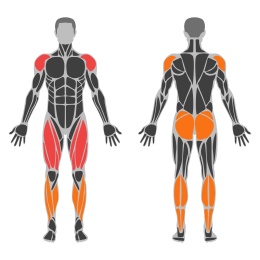 Barbell Thruster affected muscles