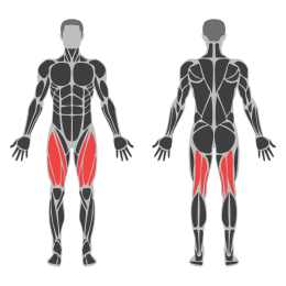 Lunge Stretch affected muscles