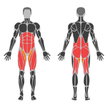 Glute Strength affected muscles