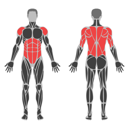 Core and Back affected muscles