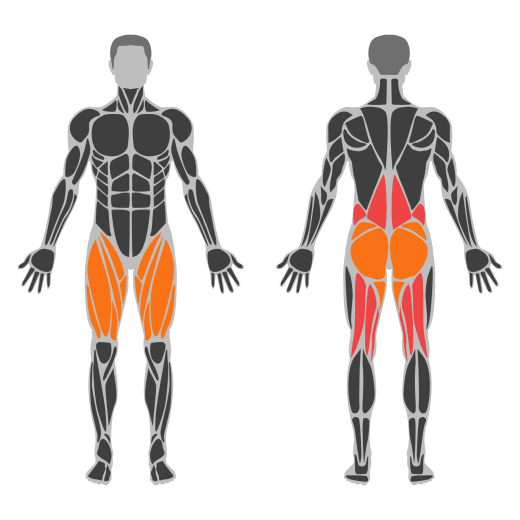 Kettelbell Clean affected muscles