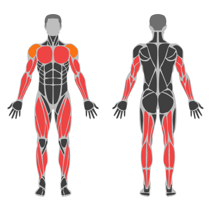 Full Body Practice affected muscles