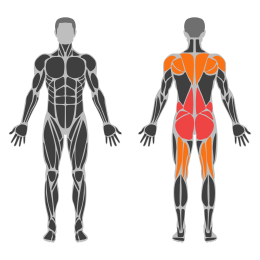 Superman affected muscles
