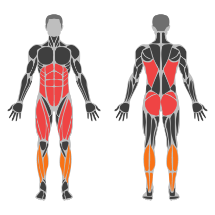Lower Body and Glutes affected muscles