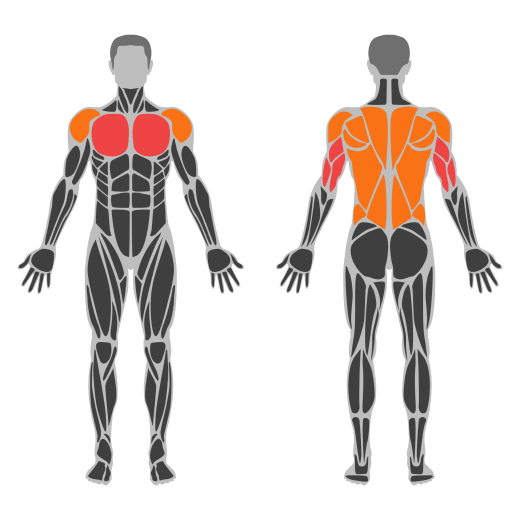Cobra Push-Up affected muscles