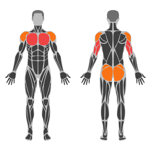 Jack Push-Up affected muscles