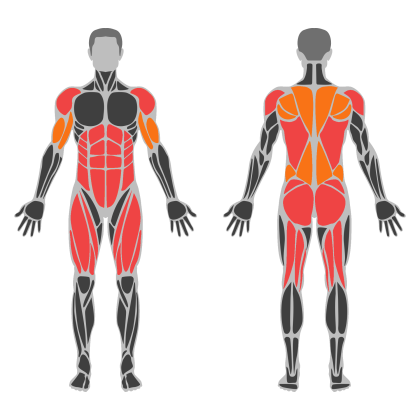 Full Body Strength affected muscles