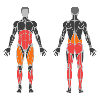 Glute Strength affected muscles