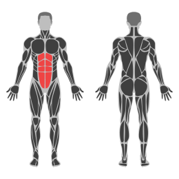Hanging Knees to Elbows Waist affected muscles