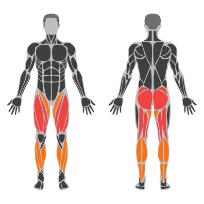Glute Strength affected muscles
