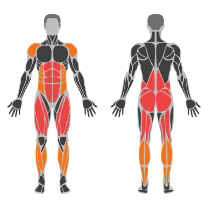 Legs affected muscles