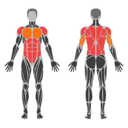 Upper Body Balance affected muscles