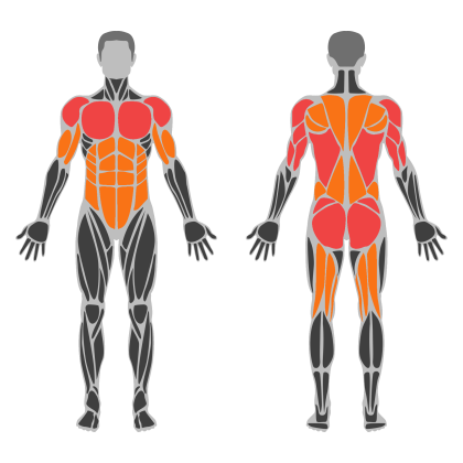 Upper Technique affected muscles