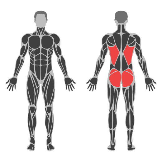 Child’s Pose affected muscles