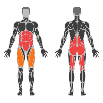 Lower Strength affected muscles