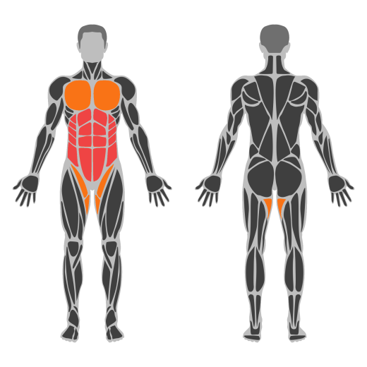 Band Pallof Press affected muscles