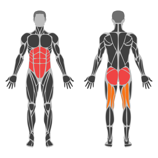 Bodyweight Windmill affected muscles
