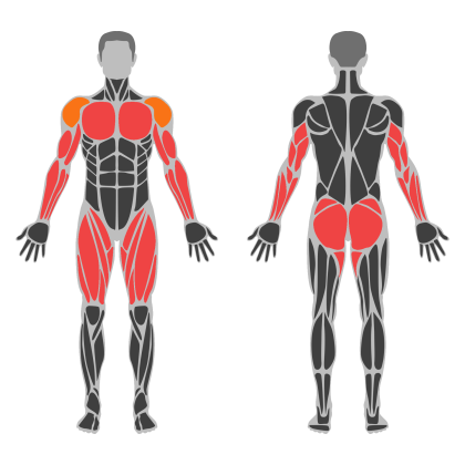 Full Body Practice affected muscles