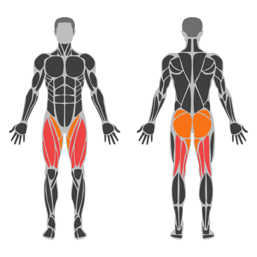 Weighted Cossack Squat affected muscles