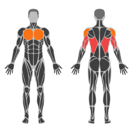 California Press affected muscles