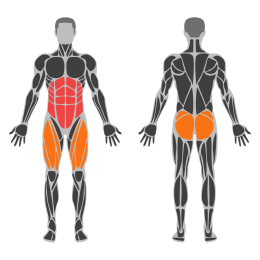 Opposite side elbow to knee affected muscles