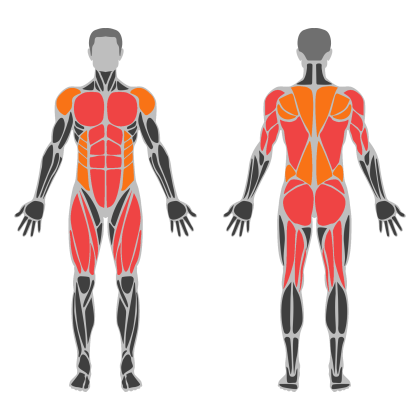 Full Body Technique affected muscles