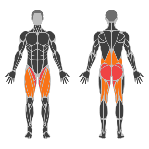 Dumbbell Sumo Squat affected muscles