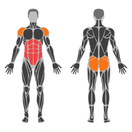 Plank affected muscles