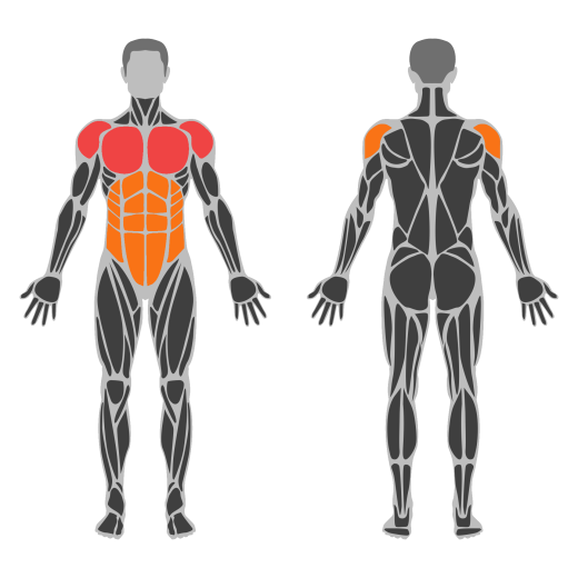 Shoulder Tap affected muscles
