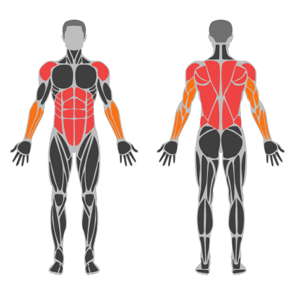 Posture Strength affected muscles