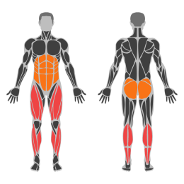 Single-Leg Box Jump affected muscles