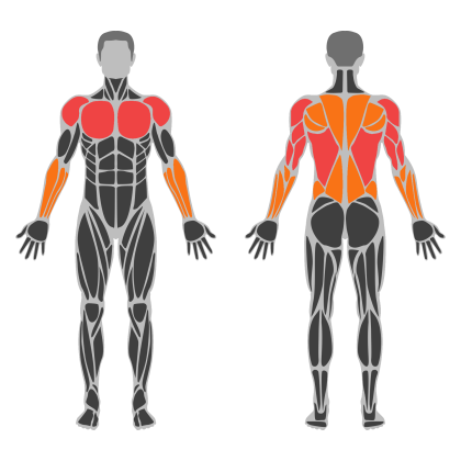 Upper Strength affected muscles