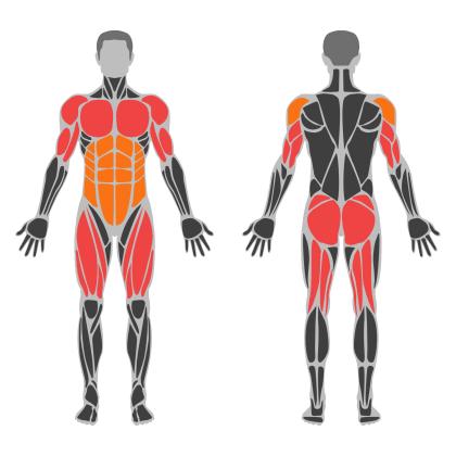 Full Body Practice affected muscles