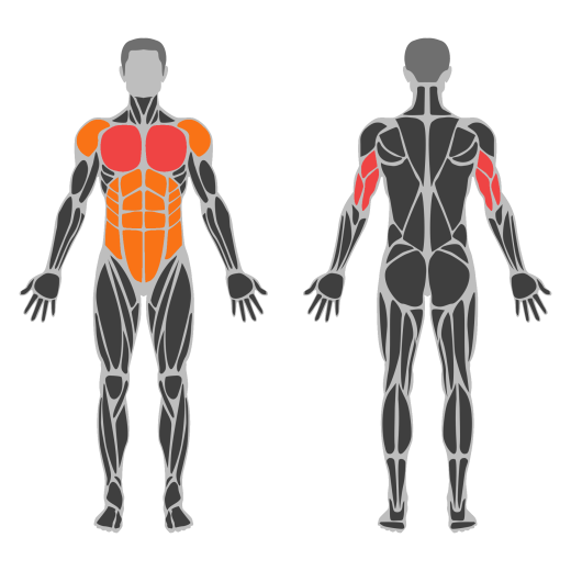 Wide Hand Push-Up affected muscles