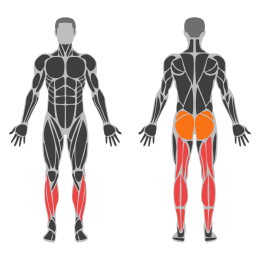 Downward Dog affected muscles
