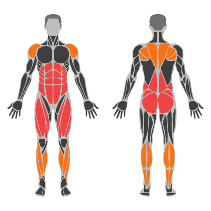 Legs and Core affected muscles