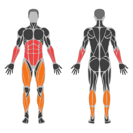 Unilateral Farmer Walk affected muscles