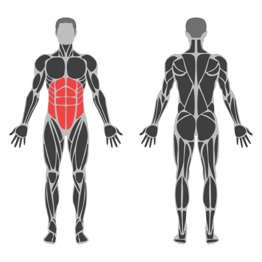 Weighted Sit Up affected muscles