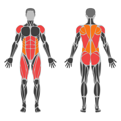 Full Body Strength affected muscles
