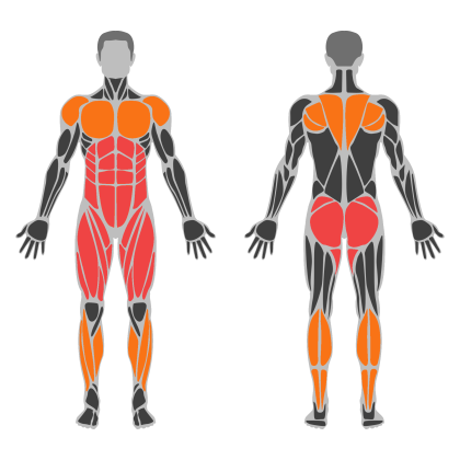 Lower Body and Glutes affected muscles