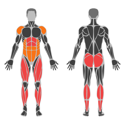 Lower Body Support affected muscles
