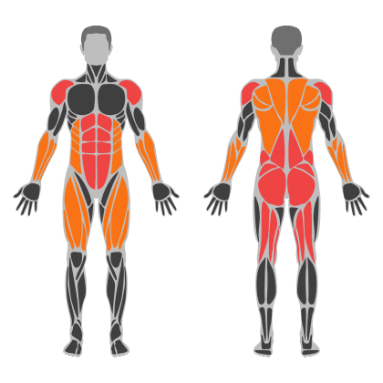 Full Body Strength affected muscles