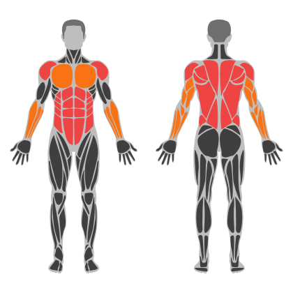 Posture Strength affected muscles