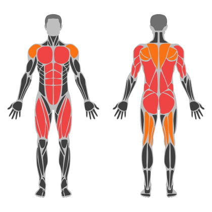 Full Body Technique affected muscles
