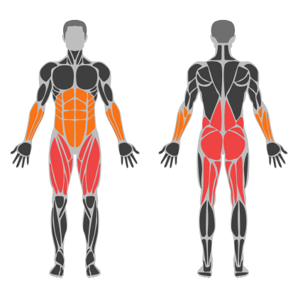 Legs and Glute Volume affected muscles
