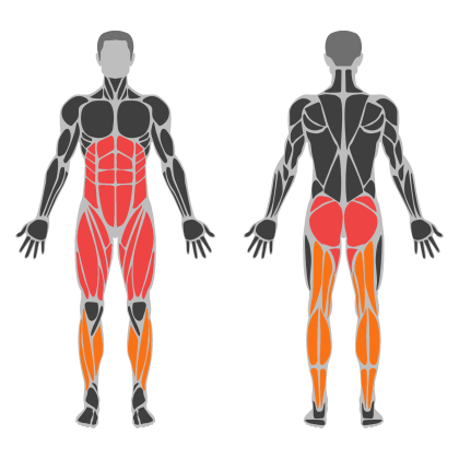 Legs affected muscles