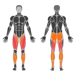 Walking Cardio affected muscles
