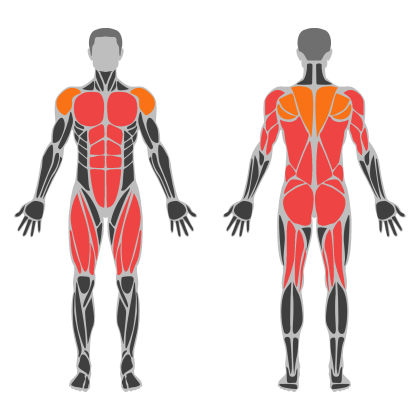 Full Body A affected muscles